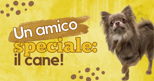 Un amico speciale … il cane!