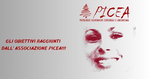 Gli obiettivi raggiunti dall’ Associazione Picea!!!